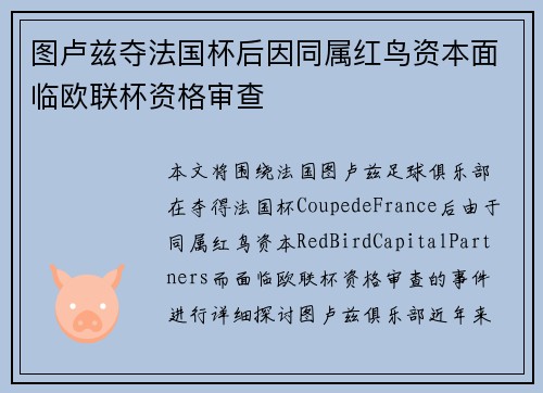 图卢兹夺法国杯后因同属红鸟资本面临欧联杯资格审查